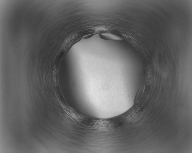 X0000052960379200507300117