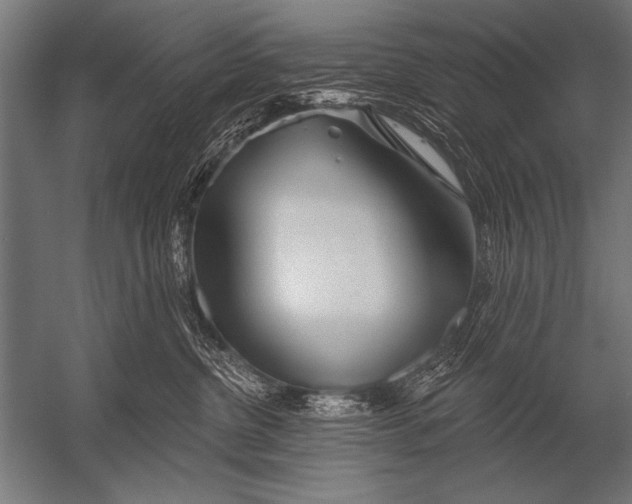 X0000052960380200507300118