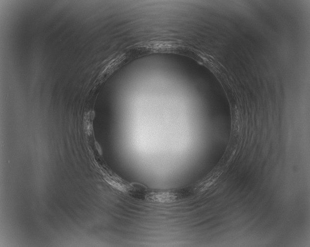 X0000052960383200507300118