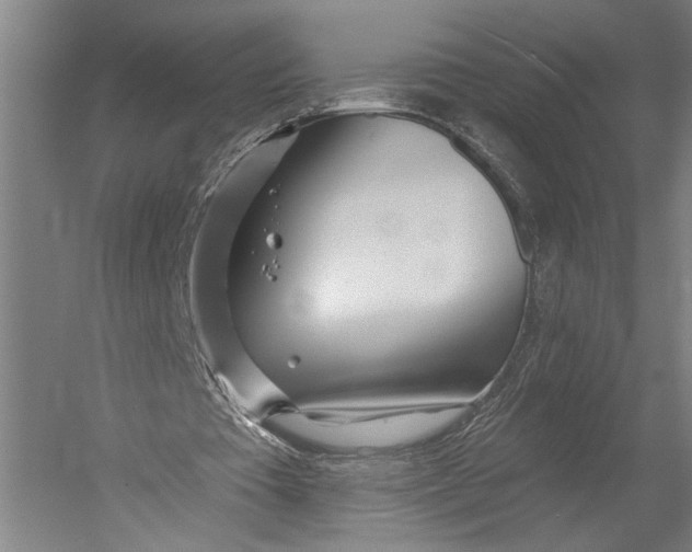 X0000052960385200507300117