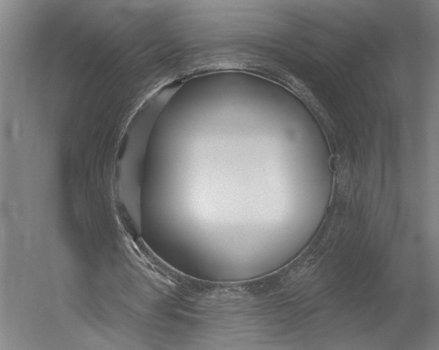 X0000052960386200507300117