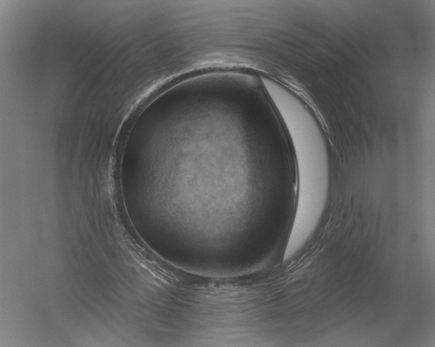 X0000052960387200507300117