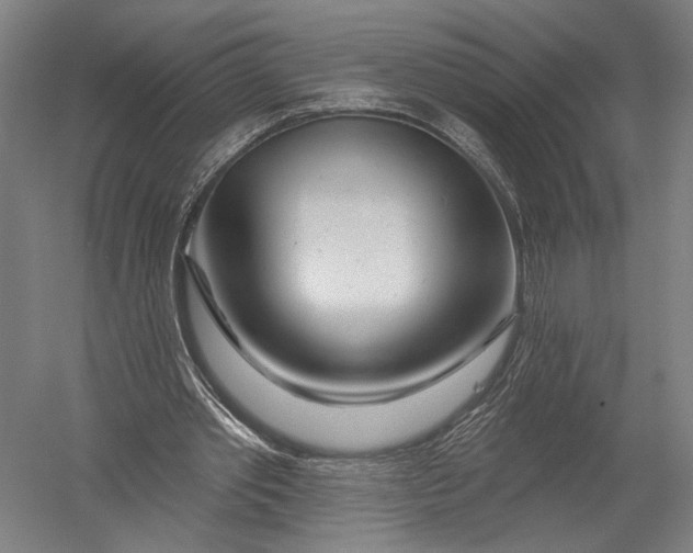 X0000052960389200507300117