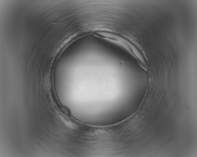 X0000052960390200507300117