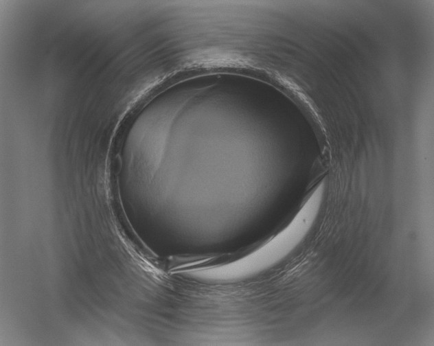 X0000052960391200507300117