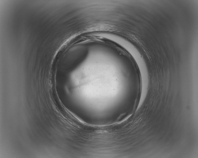 X0000052960392200507300117