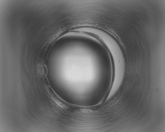 X0000052960393200507300117