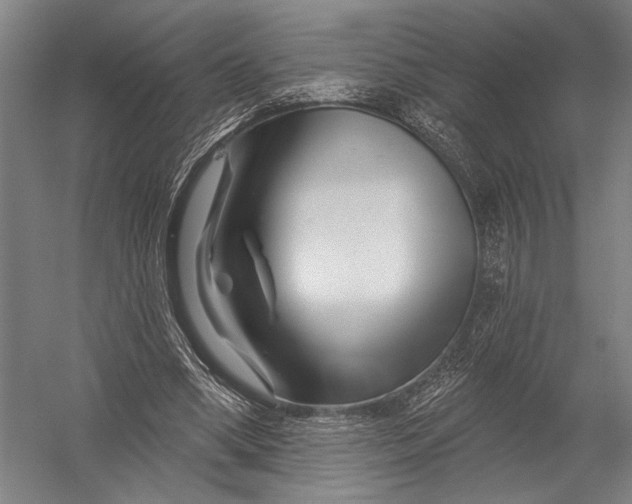 X0000052960394200507300117