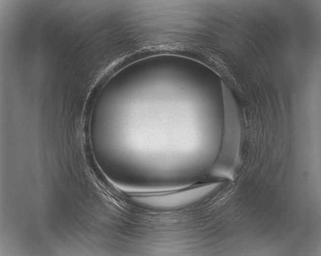 X0000052960395200507300117