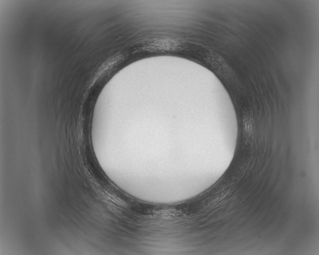 X0000052960396200507300117
