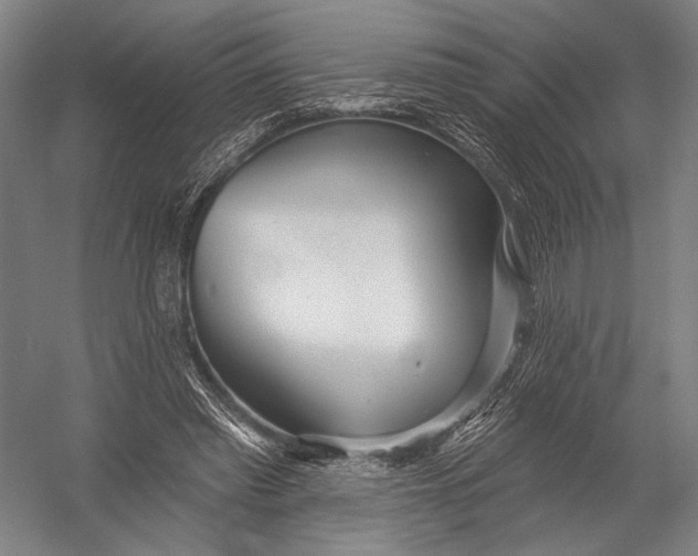 X0000052960397200507300117