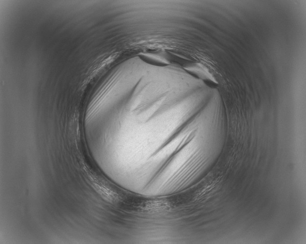 X0000052960398200507300117