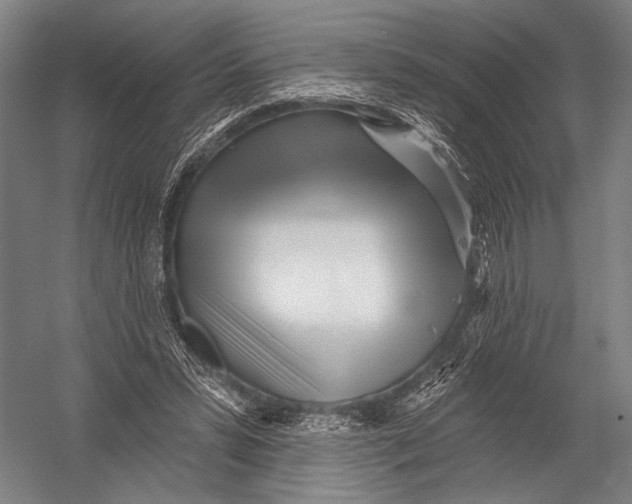X0000052960399200507300117