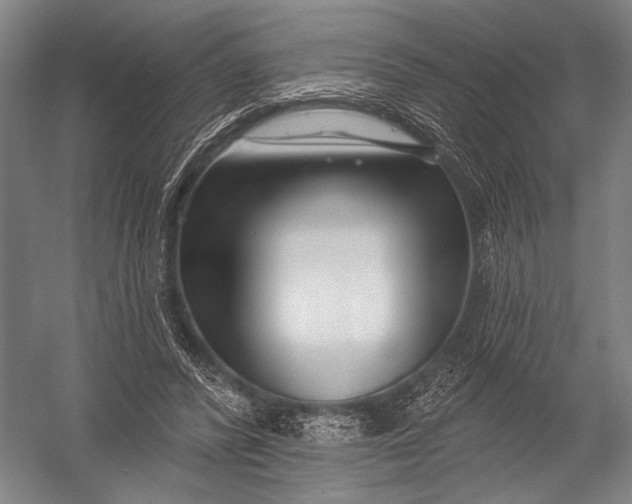 X0000052960400200507300116