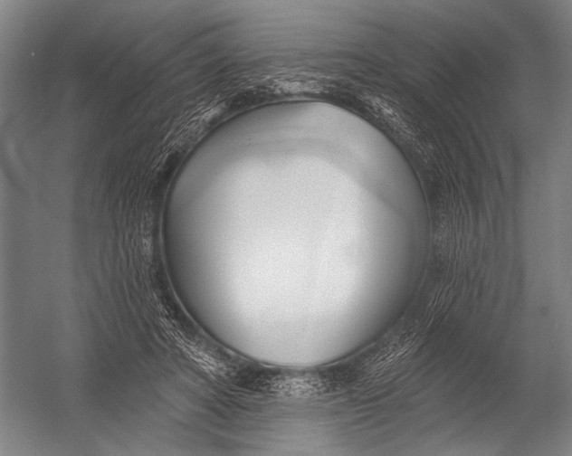 X0000052960402200507300116