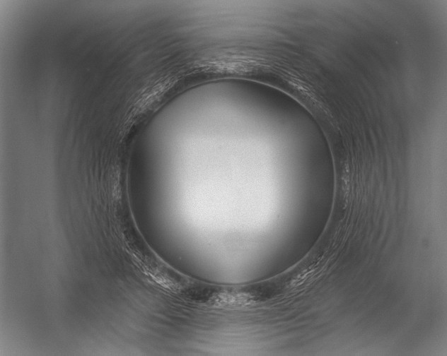 X0000052960403200507300116