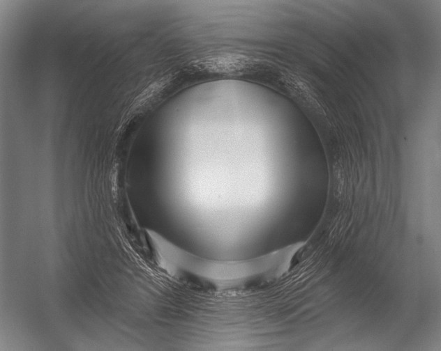 X0000052960404200507300116