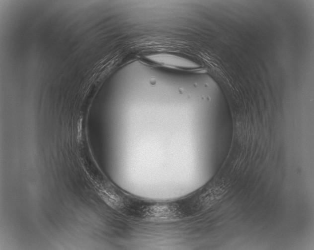 X0000052960406200507300116