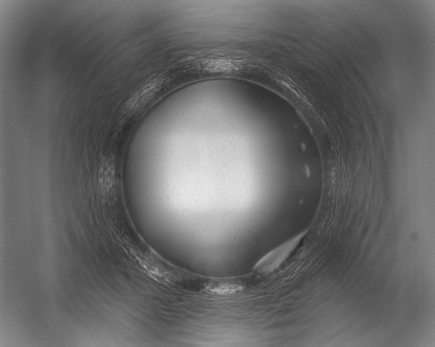 X0000052960407200507300116
