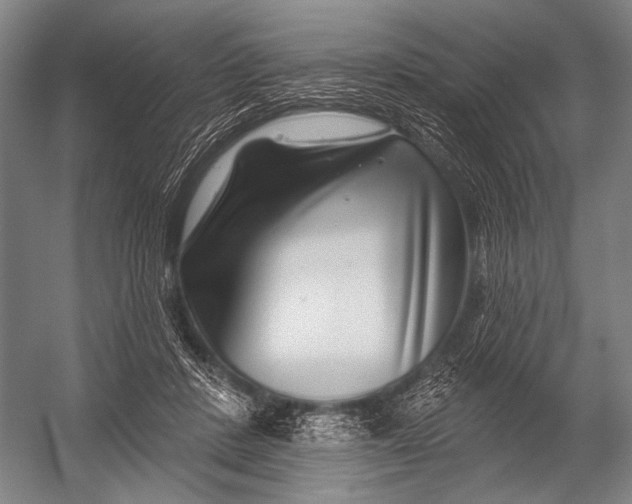 X0000052960408200507300116