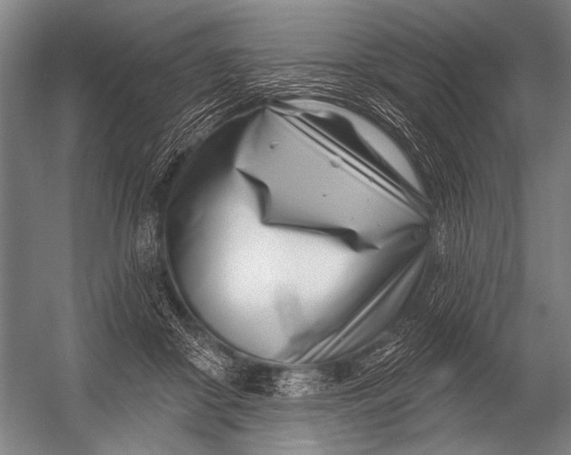 X0000052960410200507300116