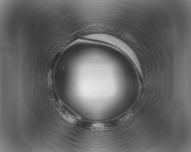 X0000052960413200507300116