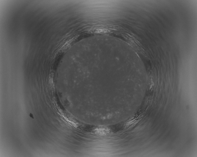 X0000052960415200507300116