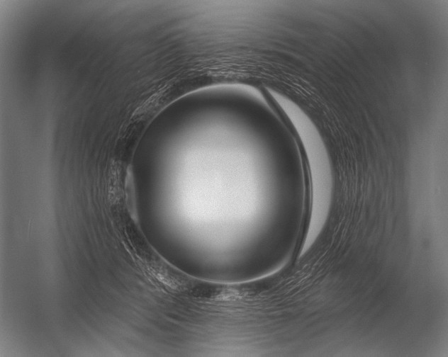 X0000052960416200507300116