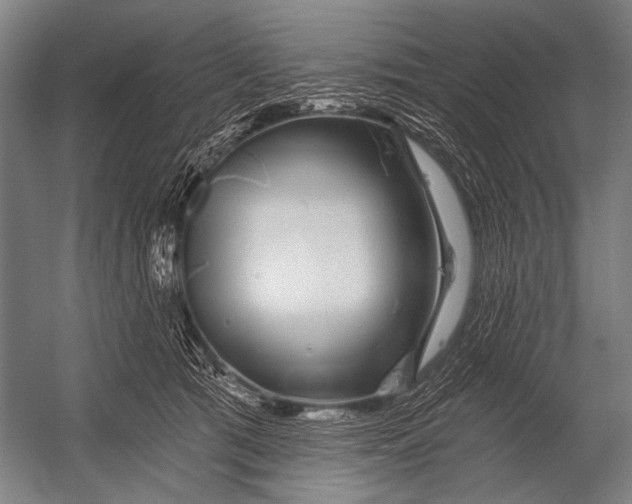 X0000052960417200507300116