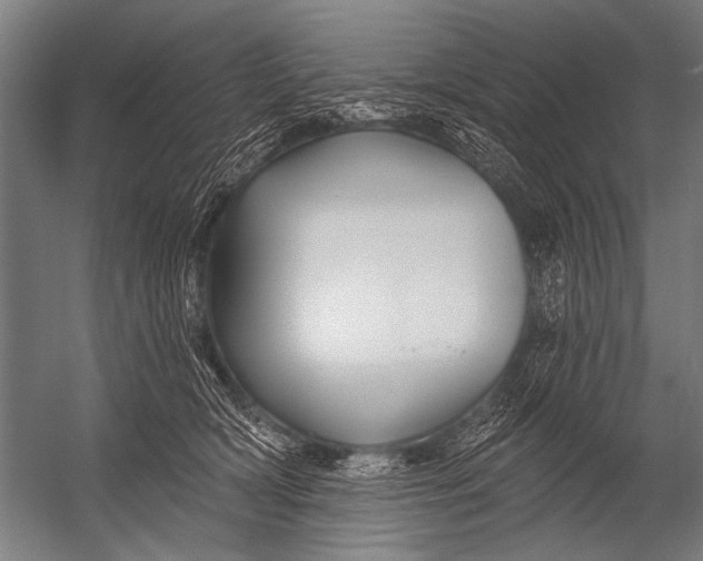 X0000052960418200507300116