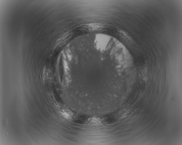 X0000052960419200507300116