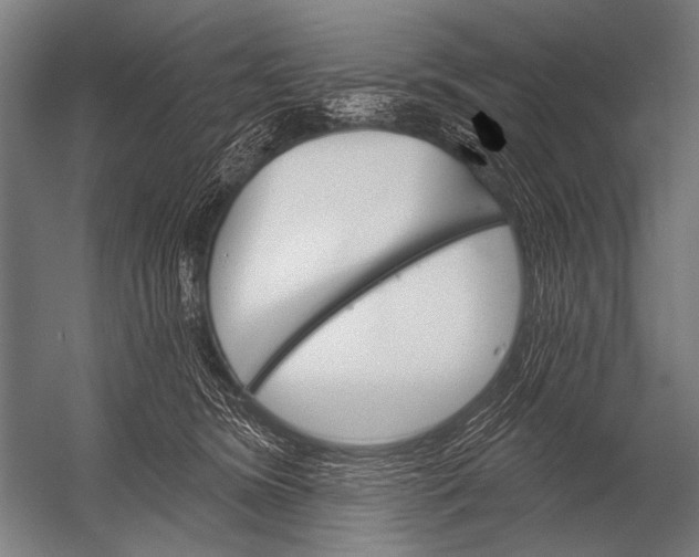 X0000052960420200507300116