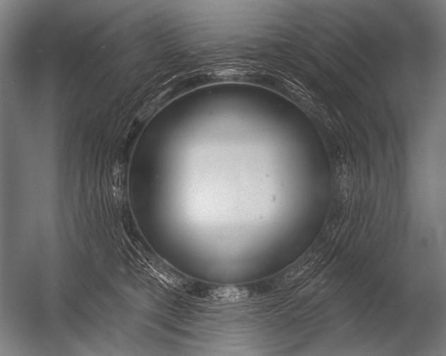X0000052960421200507300116