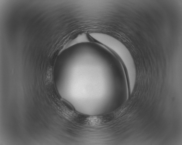 X0000052960425200507300116