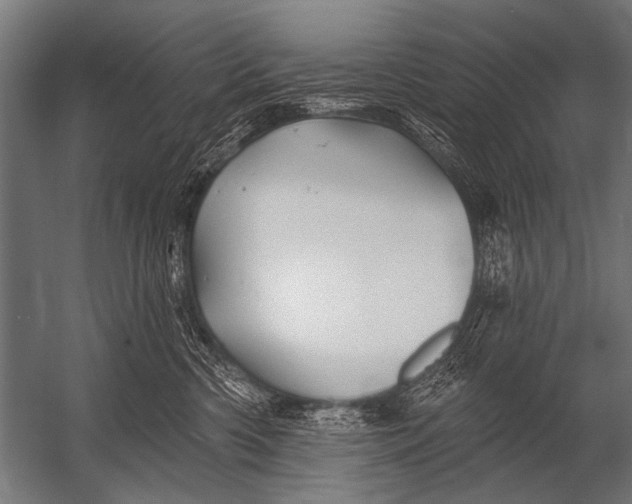X0000052960426200507300116