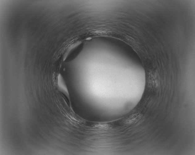 X0000052960428200507300116