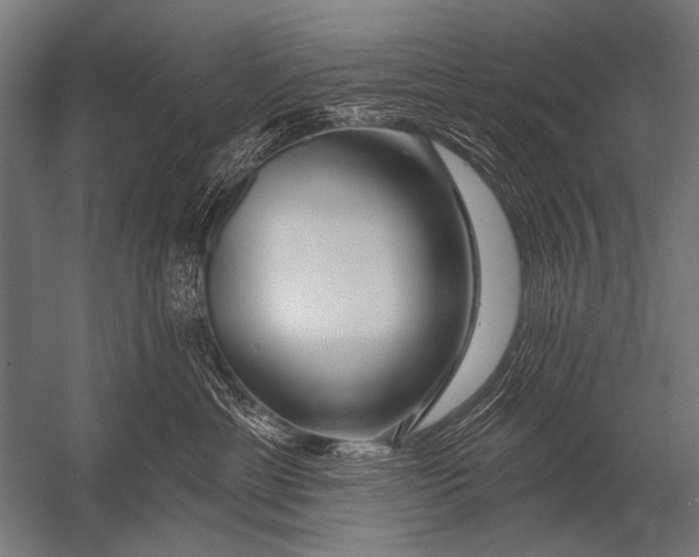 X0000052960429200507300116