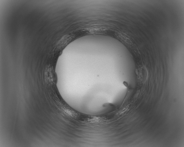X0000052960430200507300116