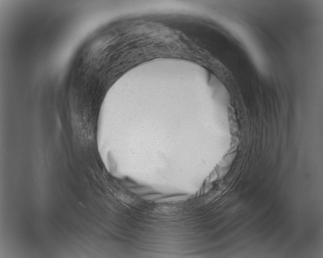 X0000052960431200507300116