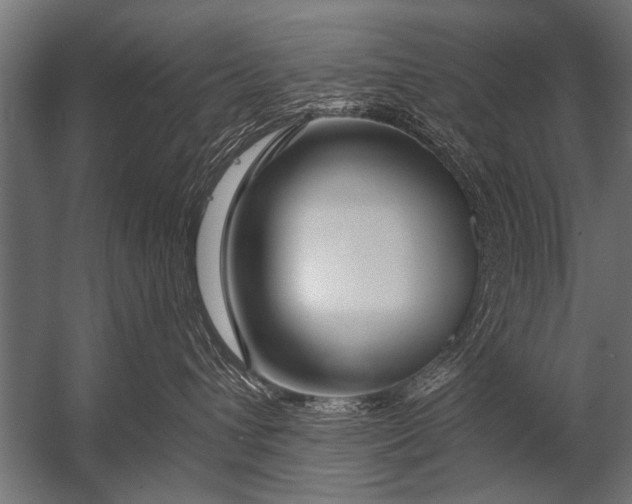 X0000052960432200507300116