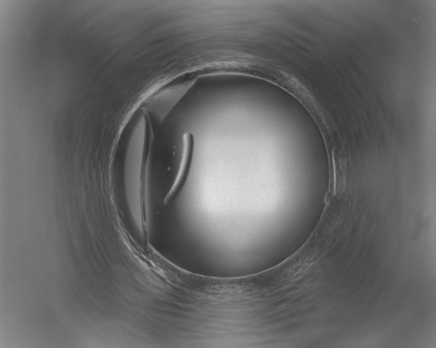 X0000052960435200507300115