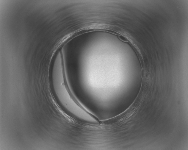 X0000052960437200507300115