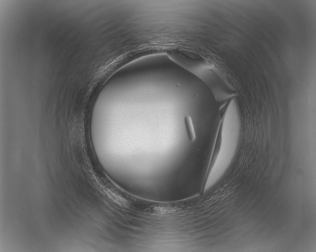 X0000052960442200507300115