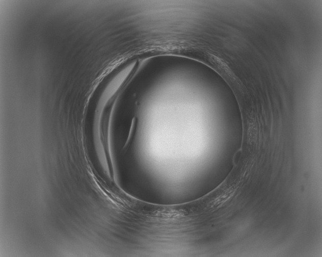 X0000052960443200507300115