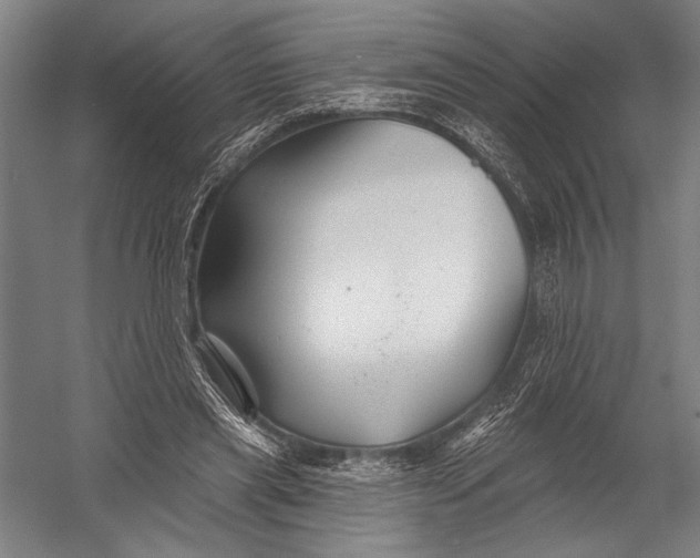 X0000052960445200507300115