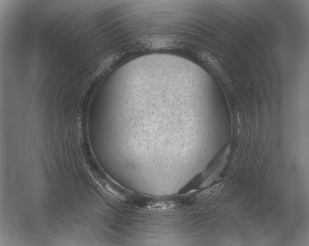 X0000052960447200507300115