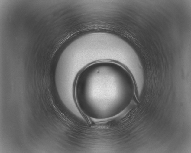 X0000052960448200507300115