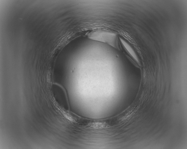X0000052960449200507300115