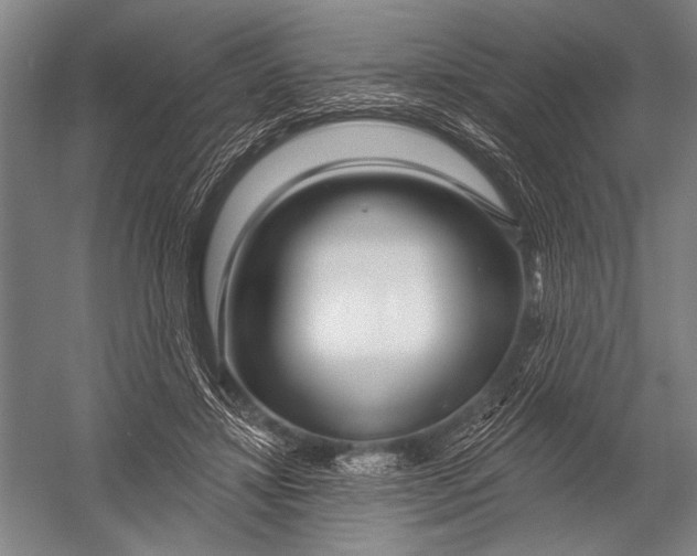 X0000052960452200507300115