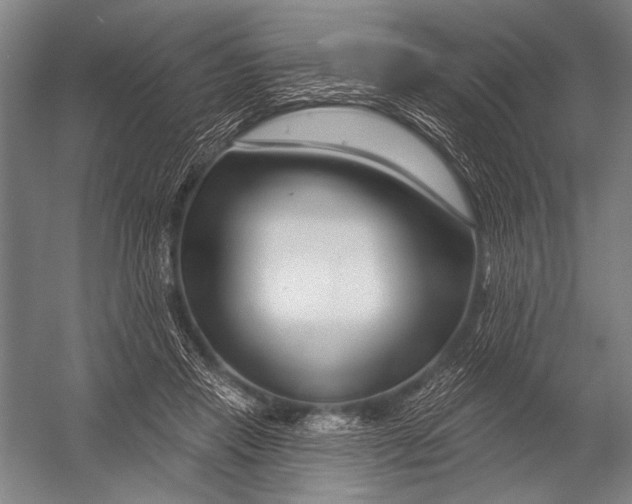 X0000052960453200507300115